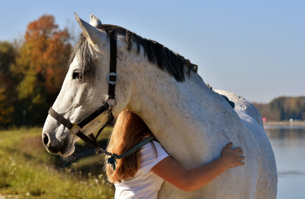 Horse Love you